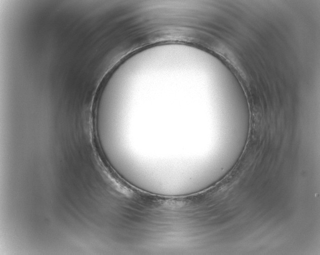 X0000070830890200606301925