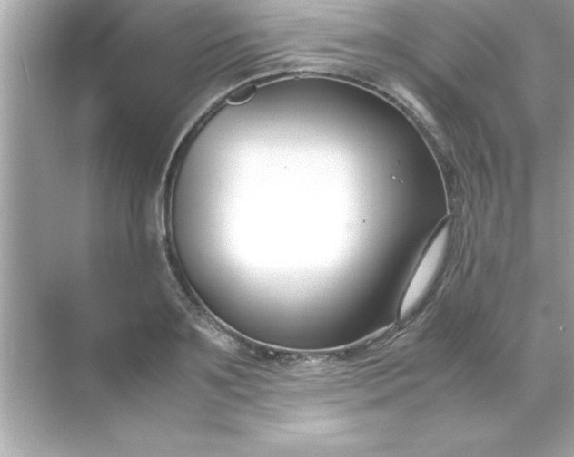 X0000070830891200606301925