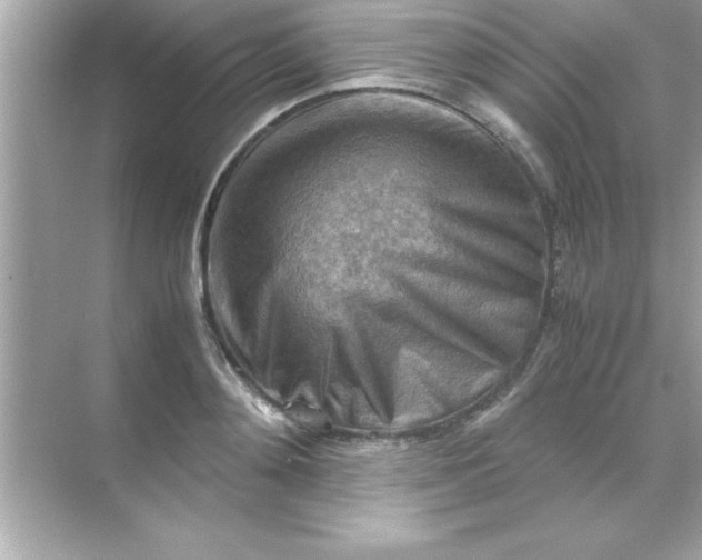 X0000070830892200606301925