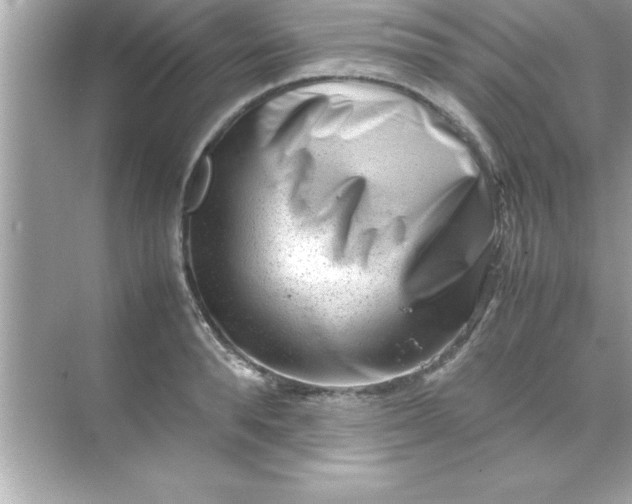 X0000070830896200606301925