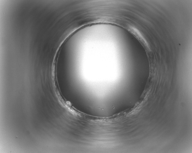 X0000070830900200606301925