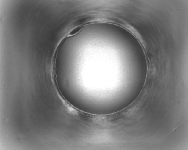X0000070830909200606301925