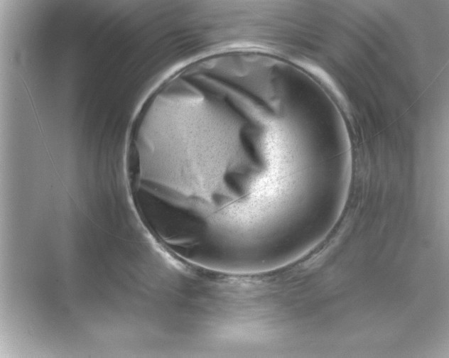 X0000070830910200606301925