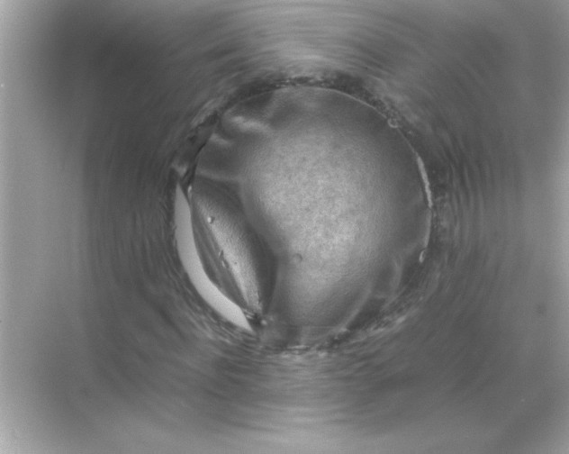 X0000070830916200606301924