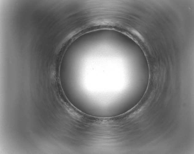 X0000070830922200606301924