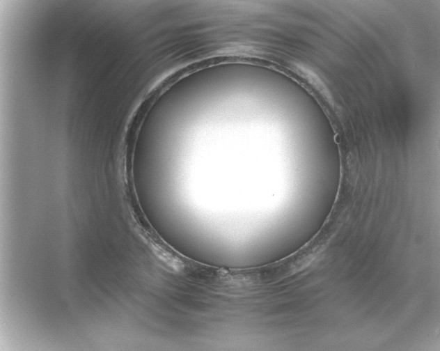 X0000070830931200606301924
