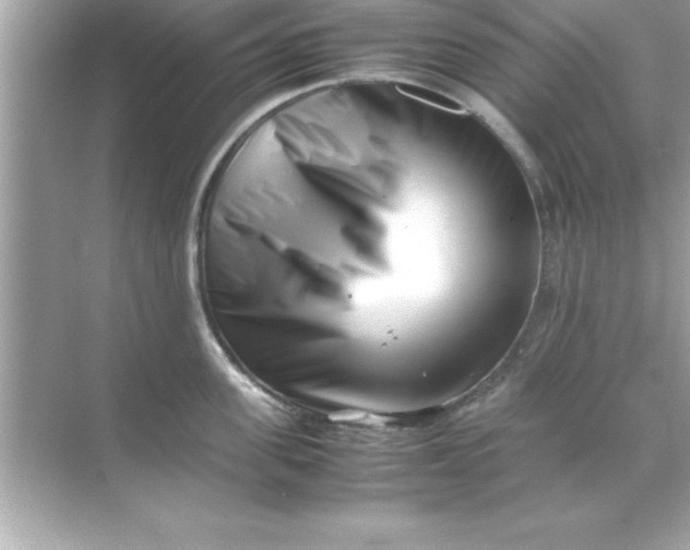 X0000070830955200606301925