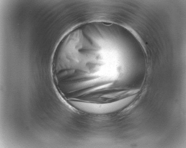 X0000070830957200606301925