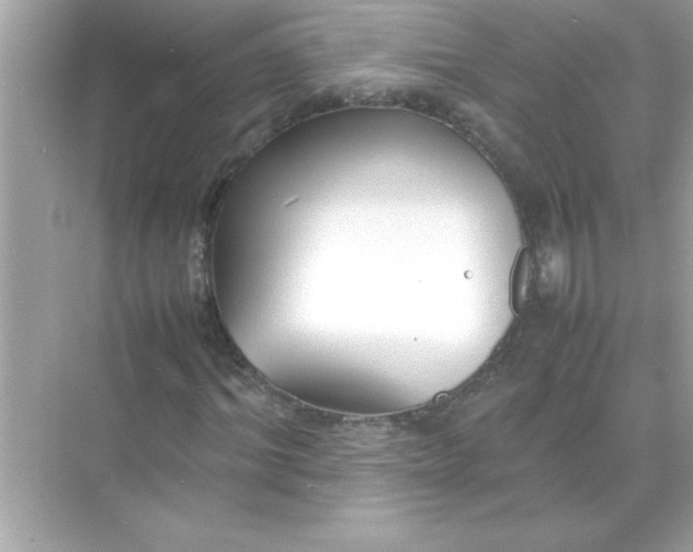X0000070830964200606301924