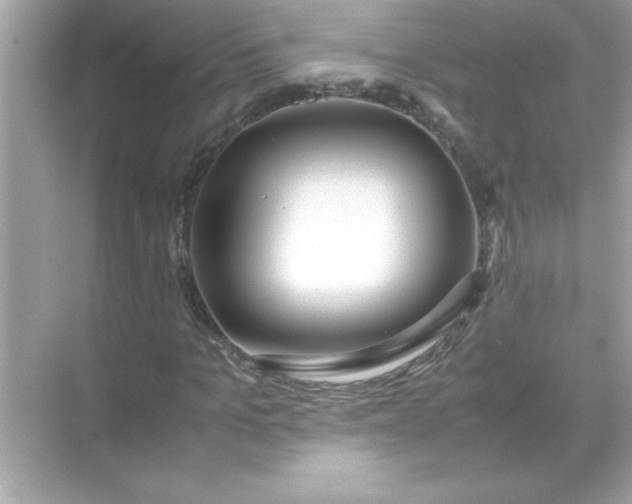X0000070830965200606301924