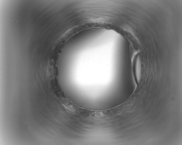 X0000070830968200606301924