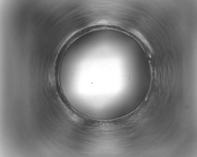 X0000070830972200606301924