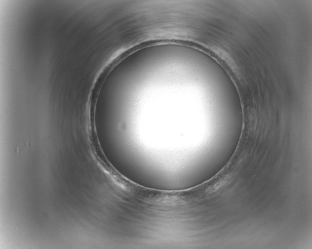 X0000070830982200606301924