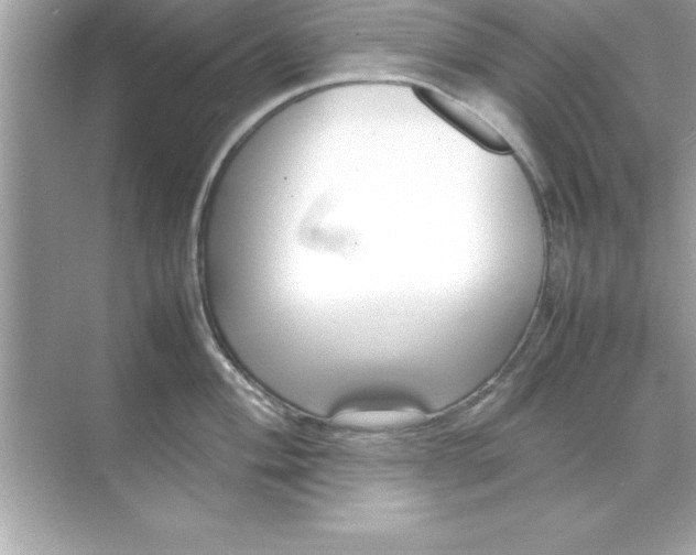 X0000070831004200606301923