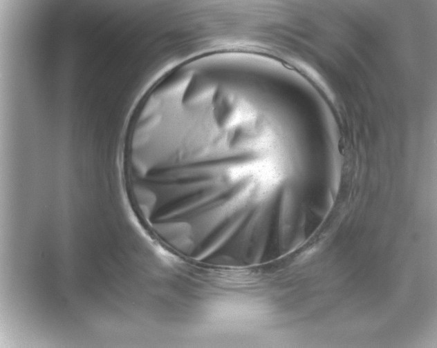 X0000070831007200606301923