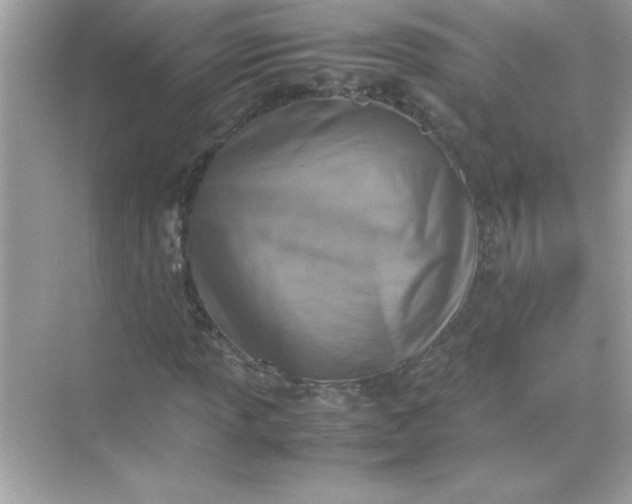 X0000070831013200606301922