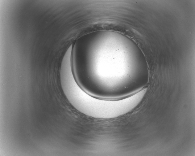 X0000070831014200606301922