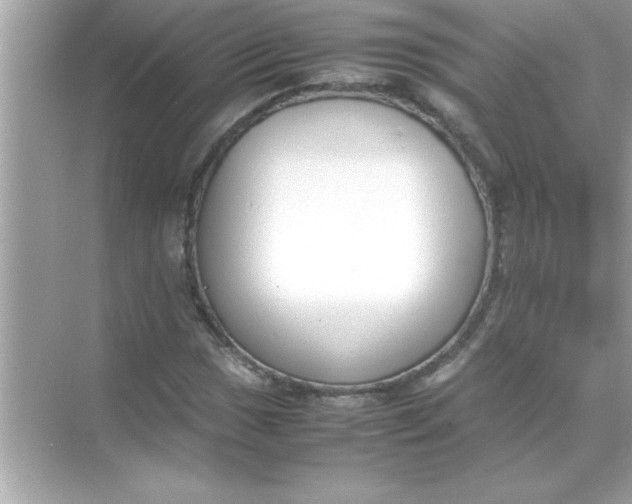 X0000070831017200606301923