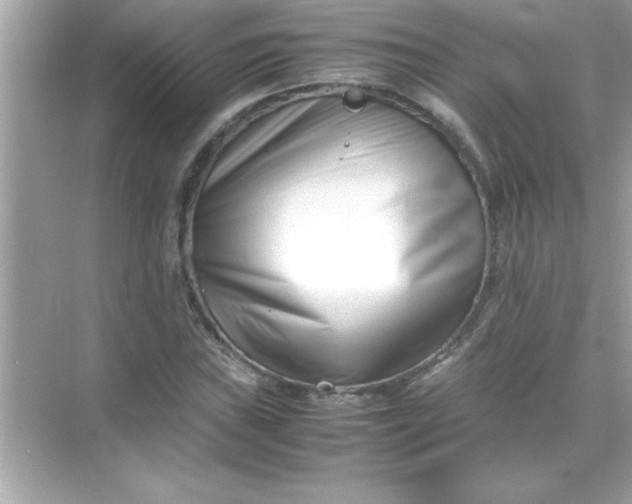 X0000070831019200606301923