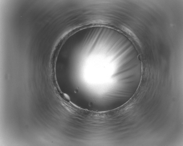X0000070831027200606301923