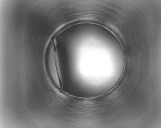 X0000070831029200606301923