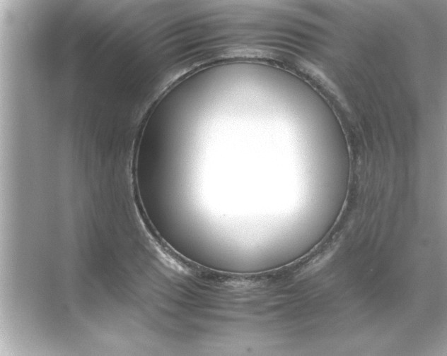 X0000070831033200606301923