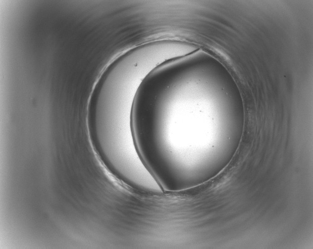 X0000070831034200606301923