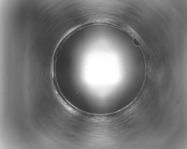 X0000070831036200606301923