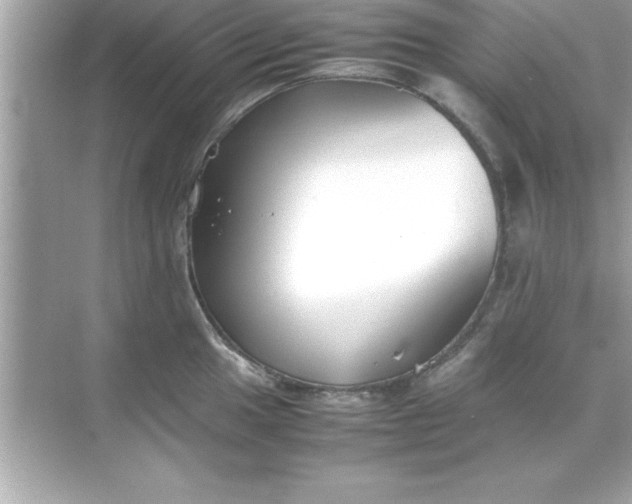 X0000070831049200606301923