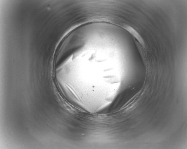 X0000070831052200606301923