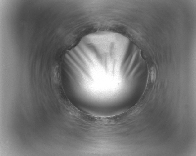 X0000070831059200606301922