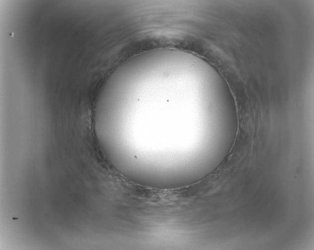 X0000070831061200606301922