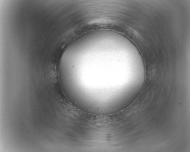 X0000070831062200606301922