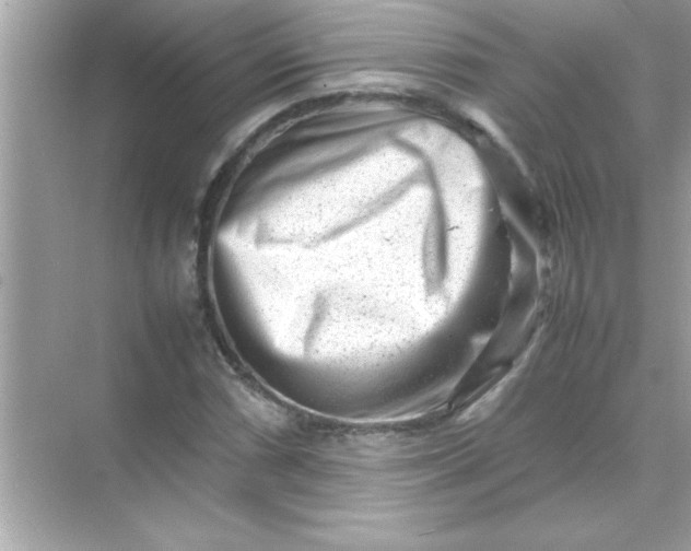 X0000070831066200606301922