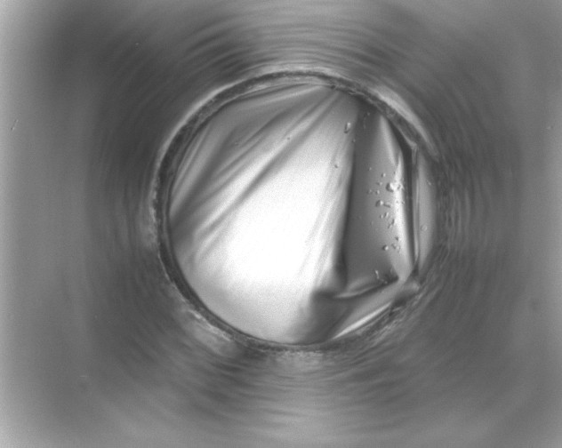 X0000070831068200606301922