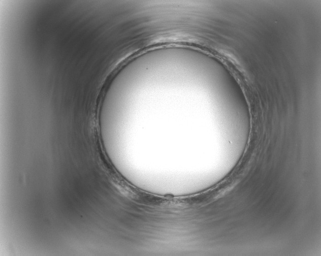 X0000070831073200606301922