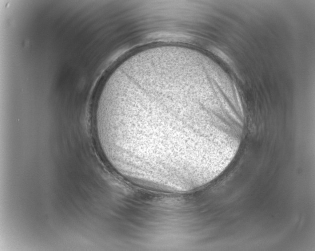 X0000070831074200606301922