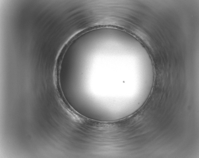 X0000070831076200606301922