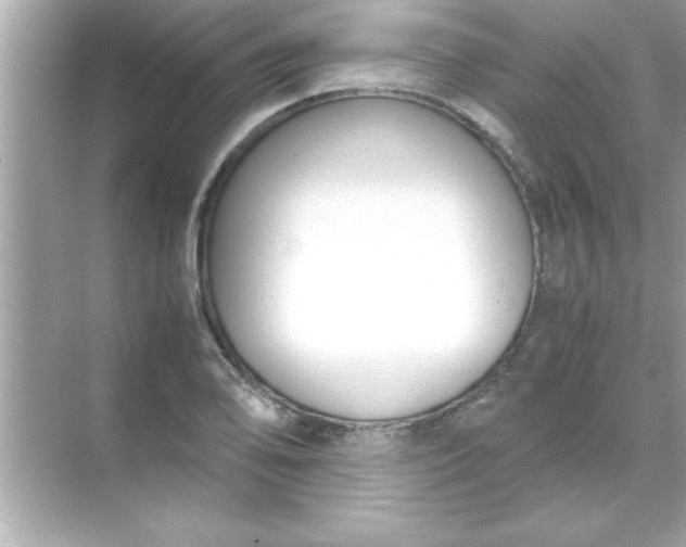 X0000070831078200606301922