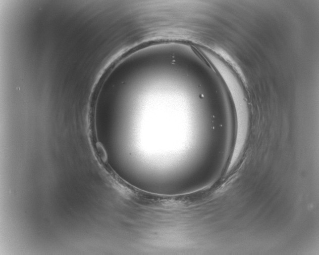 X0000070831085200606301922