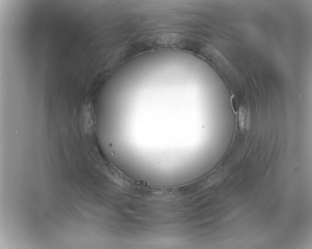 X0000070831107200606301921