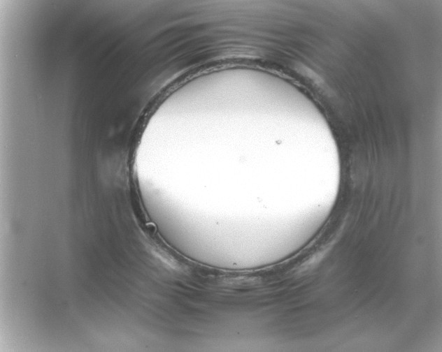 X0000070831113200606301921