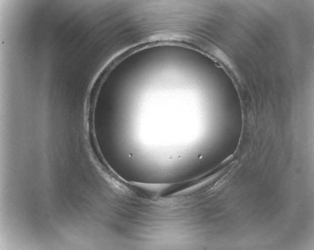 X0000070831124200606301921
