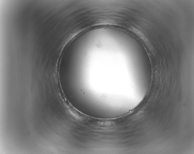 X0000070831129200606301921