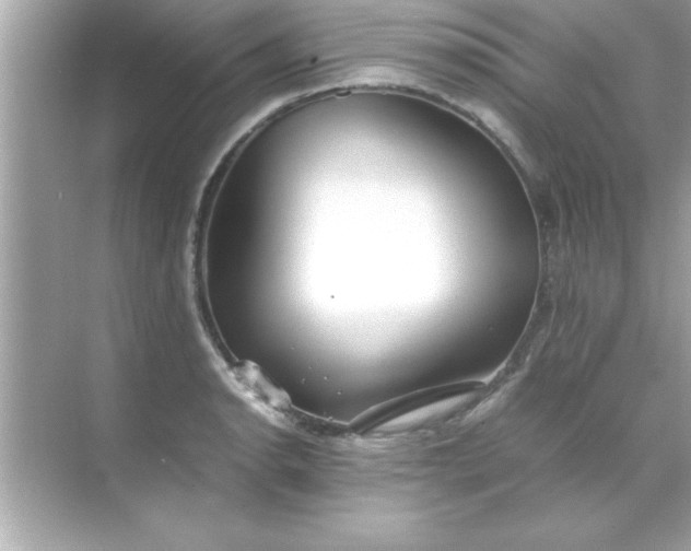 X0000070831134200606301921