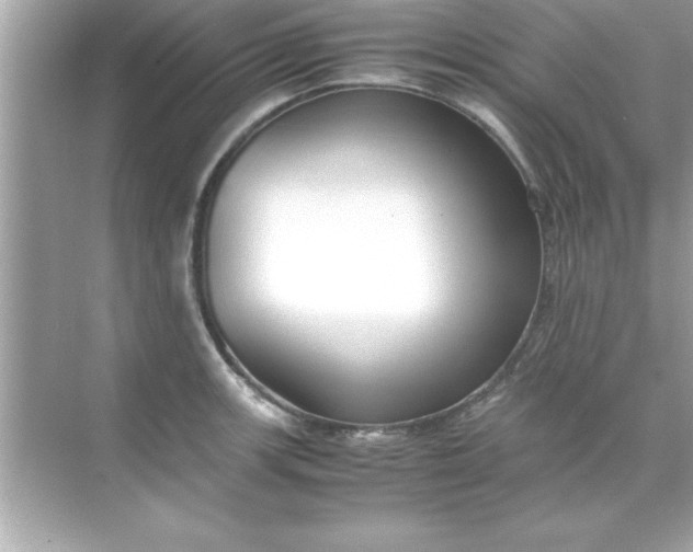 X0000070831139200606301921