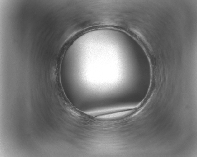 X0000070831163200606301921