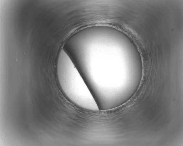 X0000070831169200606301920