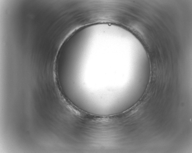 X0000070831182200606301920