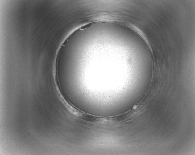 X0000070831195200606301920